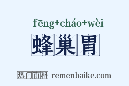 蜂巢胃是什么意思的图片